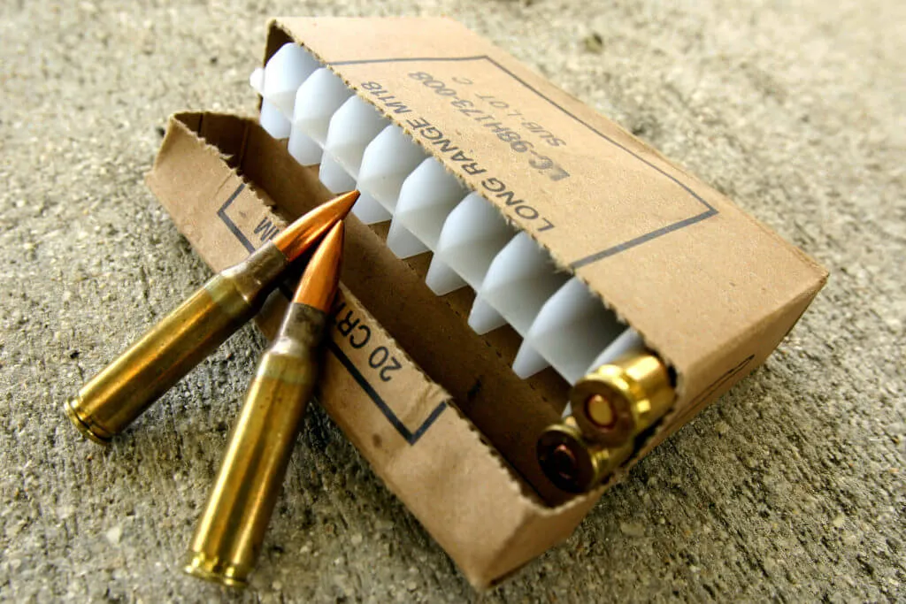 .308 Winchester Ammo