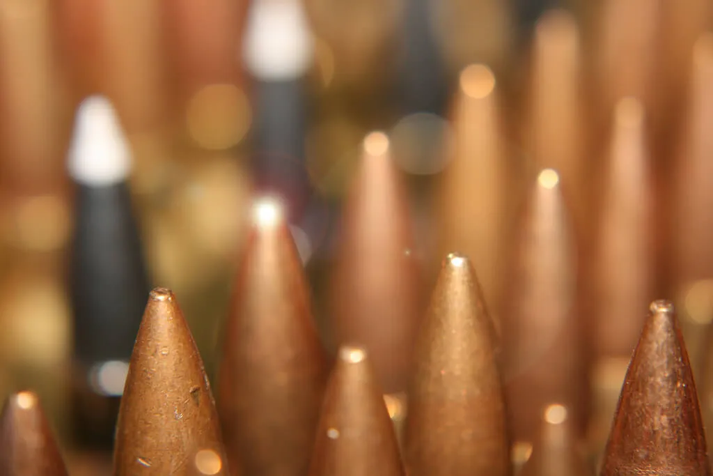 .308 Winchester Ammo