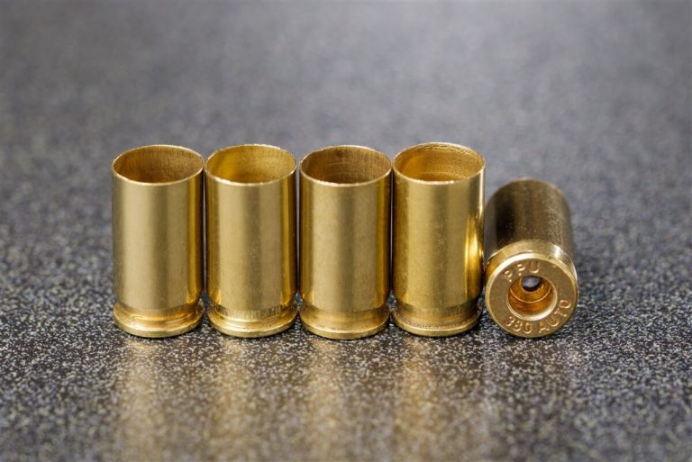 .380 ACP Shells