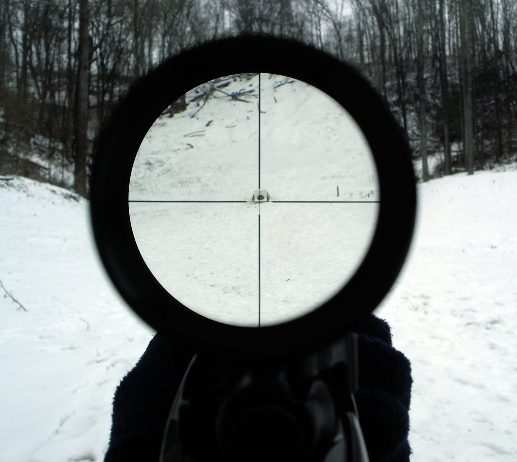 View through telescopic sight (sniper scope)