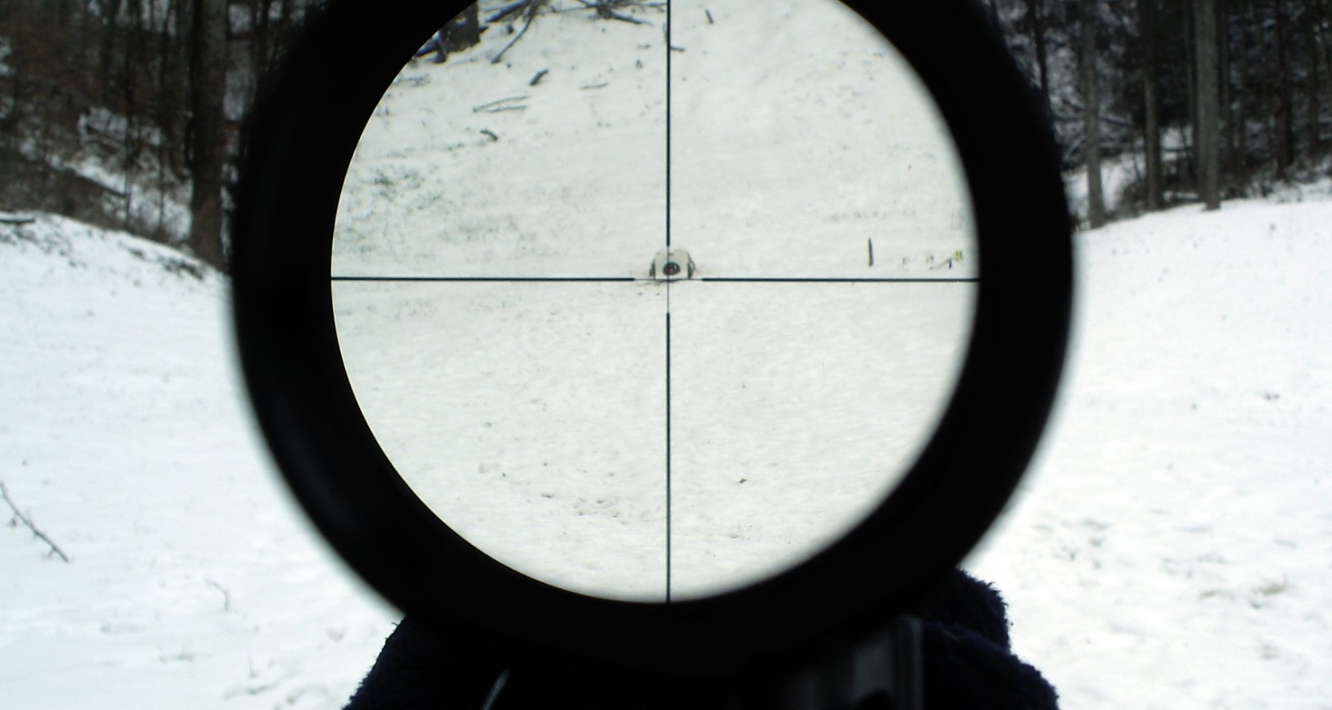 View through telescopic sight (sniper scope)