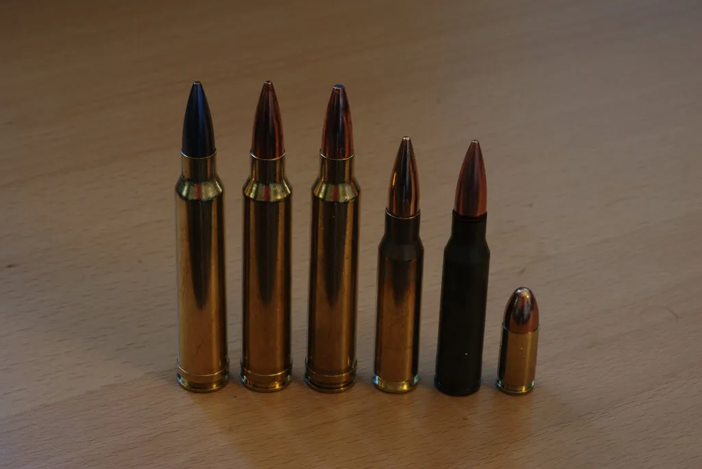 300 WM and 308 Win Ammo