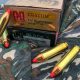 .450 Bushmaster Ammo