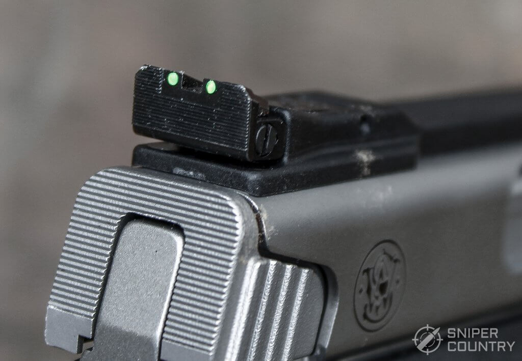 SW22 Victory rear sight