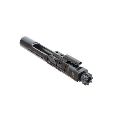 Bootleg Adjustable Bolt Carrier Group