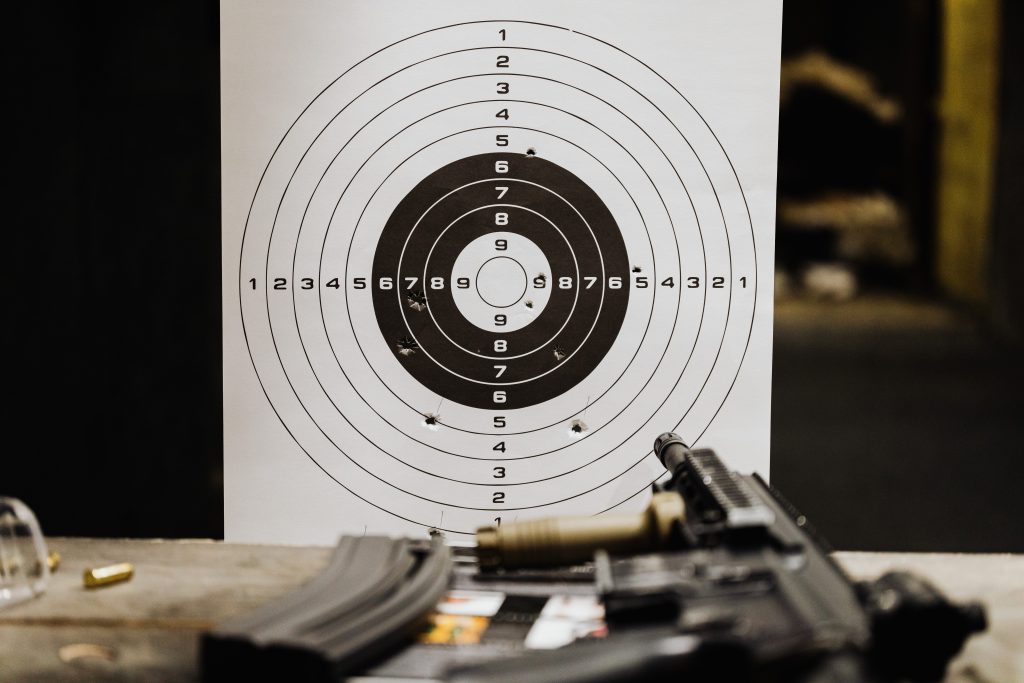 .300 Win Mag vs .300 WSM - Cartridge Comparison Target