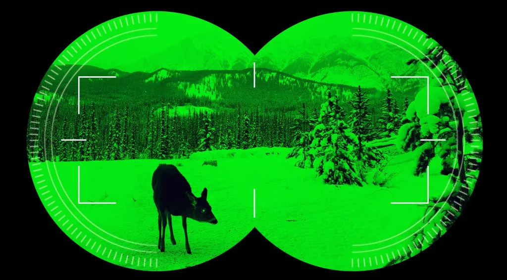 night vision scope