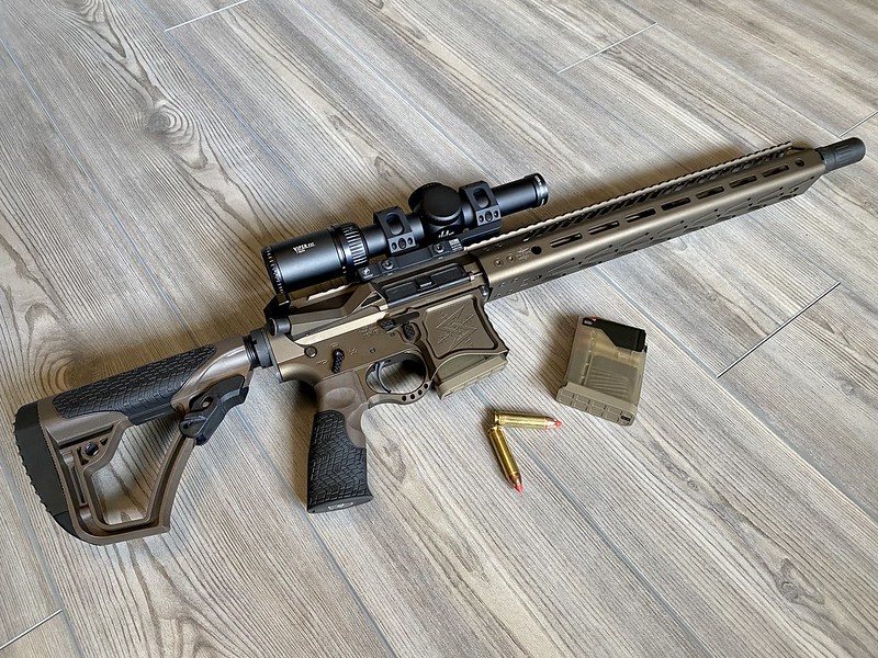 (AR-15 with Bushmaster .450 cartridges and mag; Photo credit: Andrew Haight)