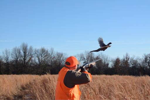 8 Best Home Defense Shotguns in 2021 Bird Hunting