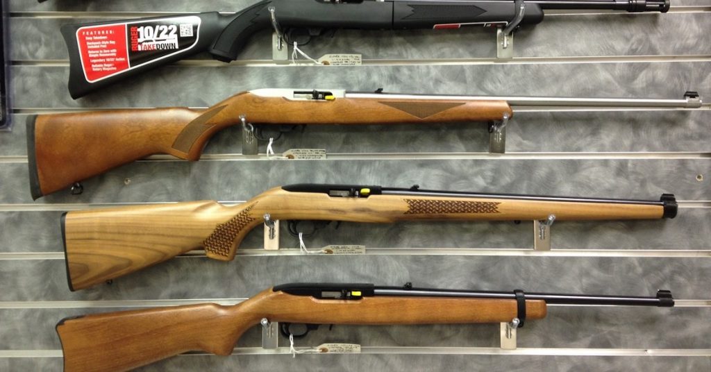 The Best .22 LR Rifles - Ruger 10/22