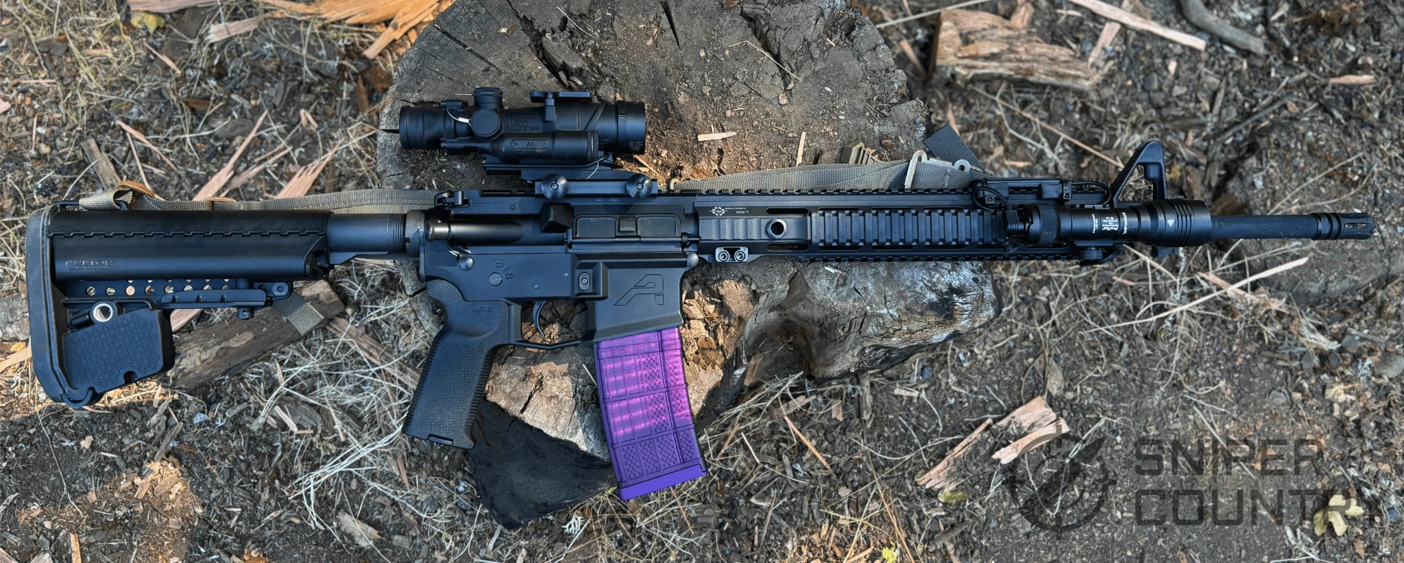 ar15 with picatinny rail for review